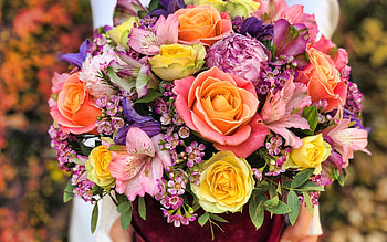 Bouquet of flowers, bouquet, pretty, beautiful, flowers, nature, spring HD wallpaper
