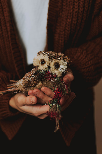 Owl, Miscellanea, Miscellaneous, Bird, Toy, Hands, Decoration HD phone wallpaper