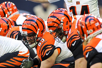 Cincinnati Bengals, , Team's fierce presence HD wallpaper