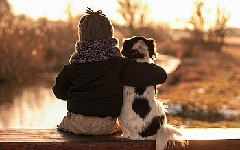 Child and dog hug, Innocence and friendship, Heartwarming moment, Joyful connection HD wallpaper