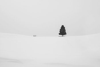 Snow Tree Minimal , snow, tree, minimalism, minimalist, nature HD wallpaper