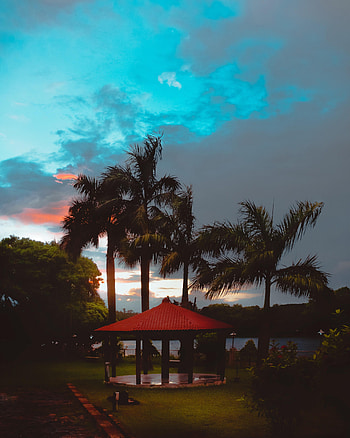 Nature, Sunset, Sky, Palms, Tropics, Bower, Alcove HD phone wallpaper