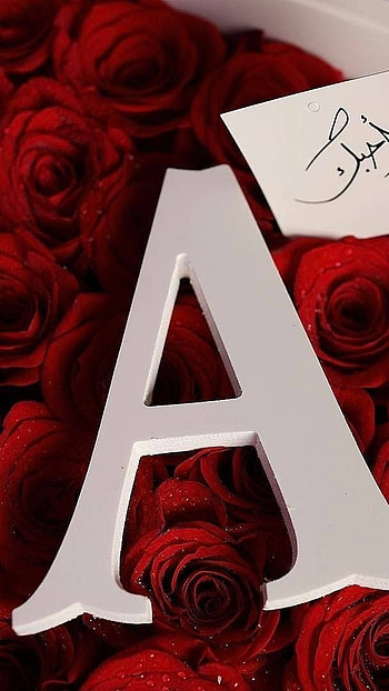 A Name, Red Rose, Background HD phone wallpaper