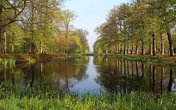 Park, trees, reflection, water HD wallpaper