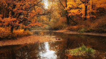 Landscape, Nature, Autumn HD wallpaper