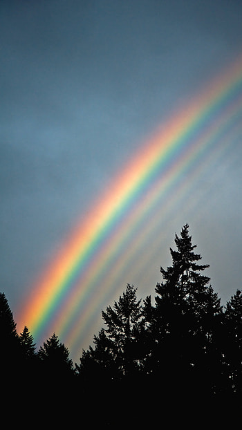 Rainbow, Natural Rainbow Sky HD phone wallpaper