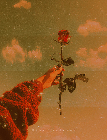Aesthetic rose 1, , sparkle, cute, vibes, digitalart, red, warmtone, beautiful, samsung, romantic, golden, hand, art, pretty, green, nature, festive, pleasing, flower, orange, blue, background, glitter, colourful HD phone wallpaper