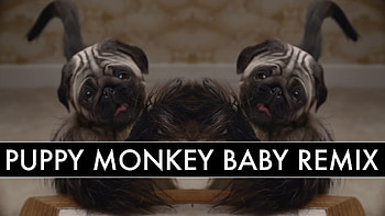A Remix of the Disturbing 'Puppy Baby Monkey' Mountain Dew Super Bowl 50 Commercial HD wallpaper