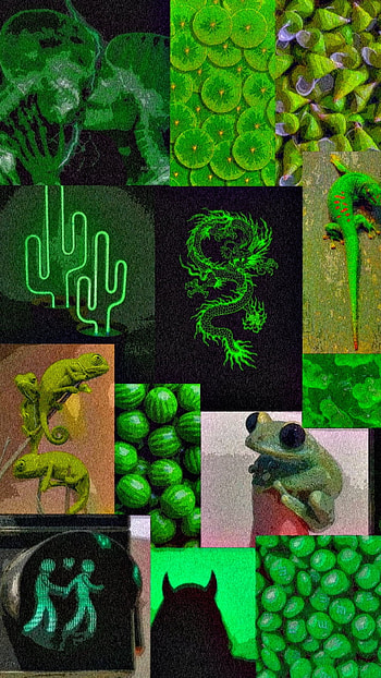 Fondo verde, aesthic, naranjita HD phone wallpaper
