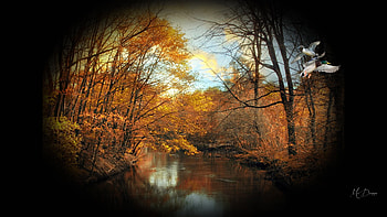 Autumn Pond Flight, river, fall, collage, Firefox theme, ducks, leaves, trees, autumn, pond HD wallpaper