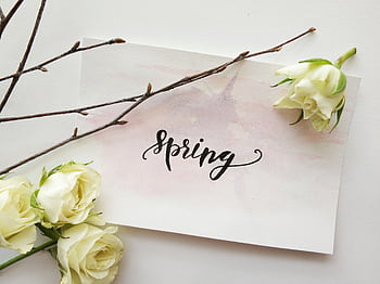 A delicate spring-themed card with elegant hand lettering and white roses for a romantic touch. HD wallpaper