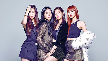 Blackpink , Trending , Stylish fashion, Iconic girl group HD wallpaper