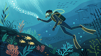 Explore the Depths: A Underwater Adventure, diving, scuba diving, underwater, marine life, coral reef HD wallpaper