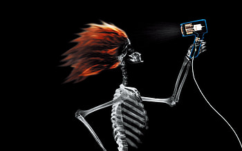 Funny, Skeletons HD wallpaper