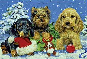Snow Puppies, cute, dogs, snow, christmas, tree HD wallpaper