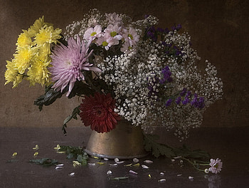 Still Life, colorful, graphy, colors, beautiful, daisies, pretty, daisy, petals, colorful flowers, flowers, gerbera HD wallpaper