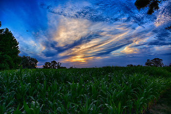 Sunset, clouds, green farm HD wallpaper