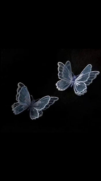 Butterfly, blue HD phone wallpaper