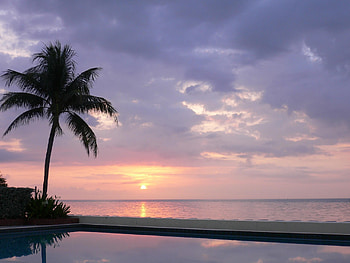 Nature, Sunset, Twilight, Reflection, Palm, Dusk, Water Surface, Evening, Pool HD wallpaper