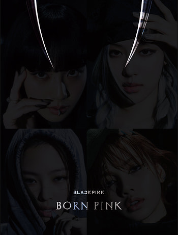 BLACKPINK BORN PINK 2, bornpink HD phone wallpaper