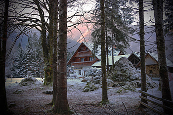 Cabin in the woods, in, woods, Cabin, Nature, the HD wallpaper