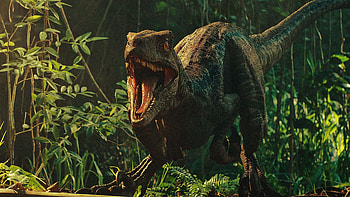 Roar, Velociraptor HD wallpaper