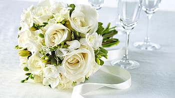 Flowers, Roses, Registration, Typography, Bouquet HD wallpaper