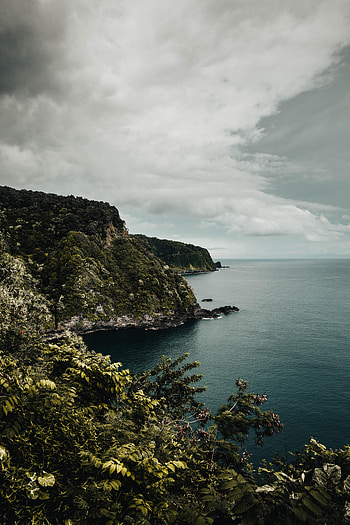 Sea, Nature, Trees, Bush, Rocks, Cliff HD phone wallpaper