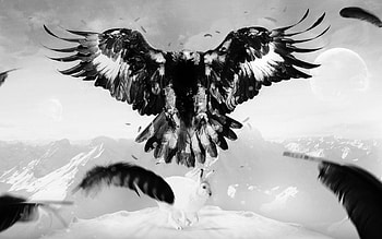 Animals, Art, Mountains, Feather, Bird, Eagle, Hare HD wallpaper