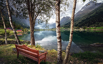 Bench by Lake, bench, birches, mountains, lake HD wallpaper