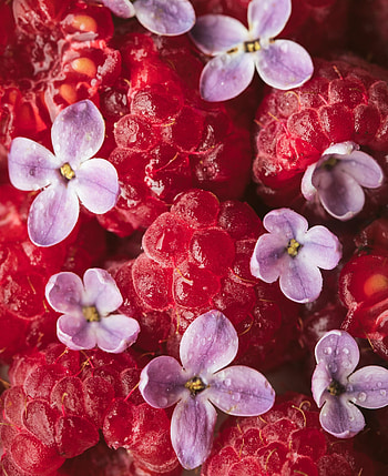Food, Lilac, Raspberry, Petals, Berry HD phone wallpaper