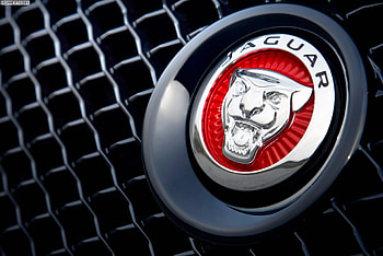 Radiator Mesh, Jaguar Logo HD wallpaper