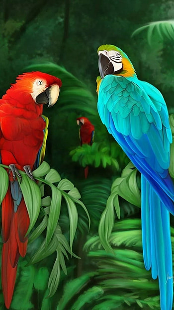 Parrot, Painting HD phone wallpaper