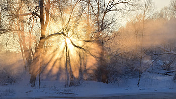 wonderful winter sunrise, winter, river, rays, fog, trees, sunrise HD wallpaper