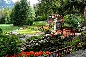 beautiful garden, garden, beautiful, nature, flowers HD wallpaper