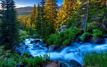 Nature, Rivers, Trees, Grass, Stones, Twilight, Flow, Dusk, Evening, Stream, Gurgling, Murmur HD wallpaper