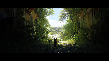 stray 25, video game, Stray HD wallpaper