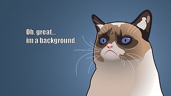 Funny birtay | backgrounds | Pinterest | Birtay HD wallpaper