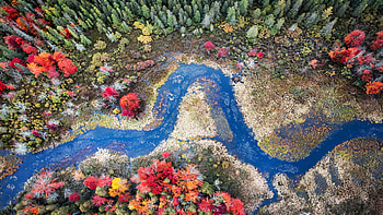 A meandering river in the Adirondack Mountains in New York, colors, trees, season, fall, usa HD wallpaper