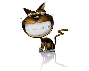 SMYLING KITTY, smyling, kitty HD wallpaper
