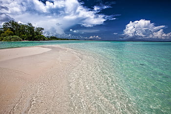 Idyllic tropical beach with clear turquoise water and lush greenery under a vibrant sky. HD wallpaper