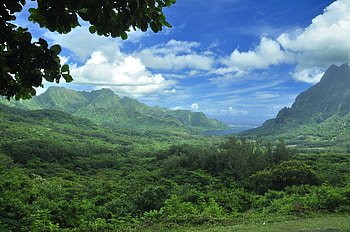 Moorea, Tahiti HD wallpaper