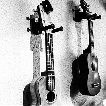 Ukulele aesthetics, Artistic melodies, Visual harmony, captivation HD phone wallpaper