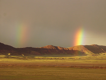 Pots of Gold , field, sky, grass, water, forest, rock, cloud, tree HD wallpaper