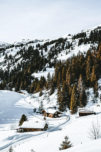 Nature, Mountains, Snow, Forest, Village, Snow Covered, Snowbound HD phone wallpaper