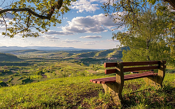 German Landscape, bench, valley, trees, clouds, Germany, vineyards HD wallpaper