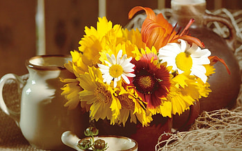 Autumn colors, Bouquet of leaves, Nature's gift, Beautiful arrangement HD wallpaper
