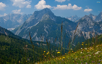 Majestic View, scenery, karwendel, nature, flowers, mountains HD wallpaper