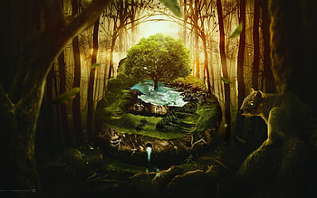 Jungle Wildlife, jungle, graphics HD wallpaper