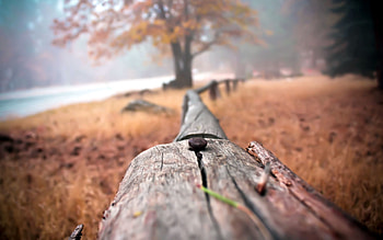 Background, Macro, Fence HD wallpaper
